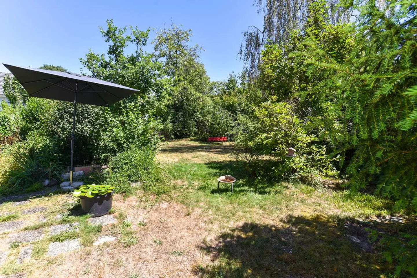 Renovationsobjekt mit Potential für Zweifamilien- oder Wohngewerbehaus - Photo 15 of 18