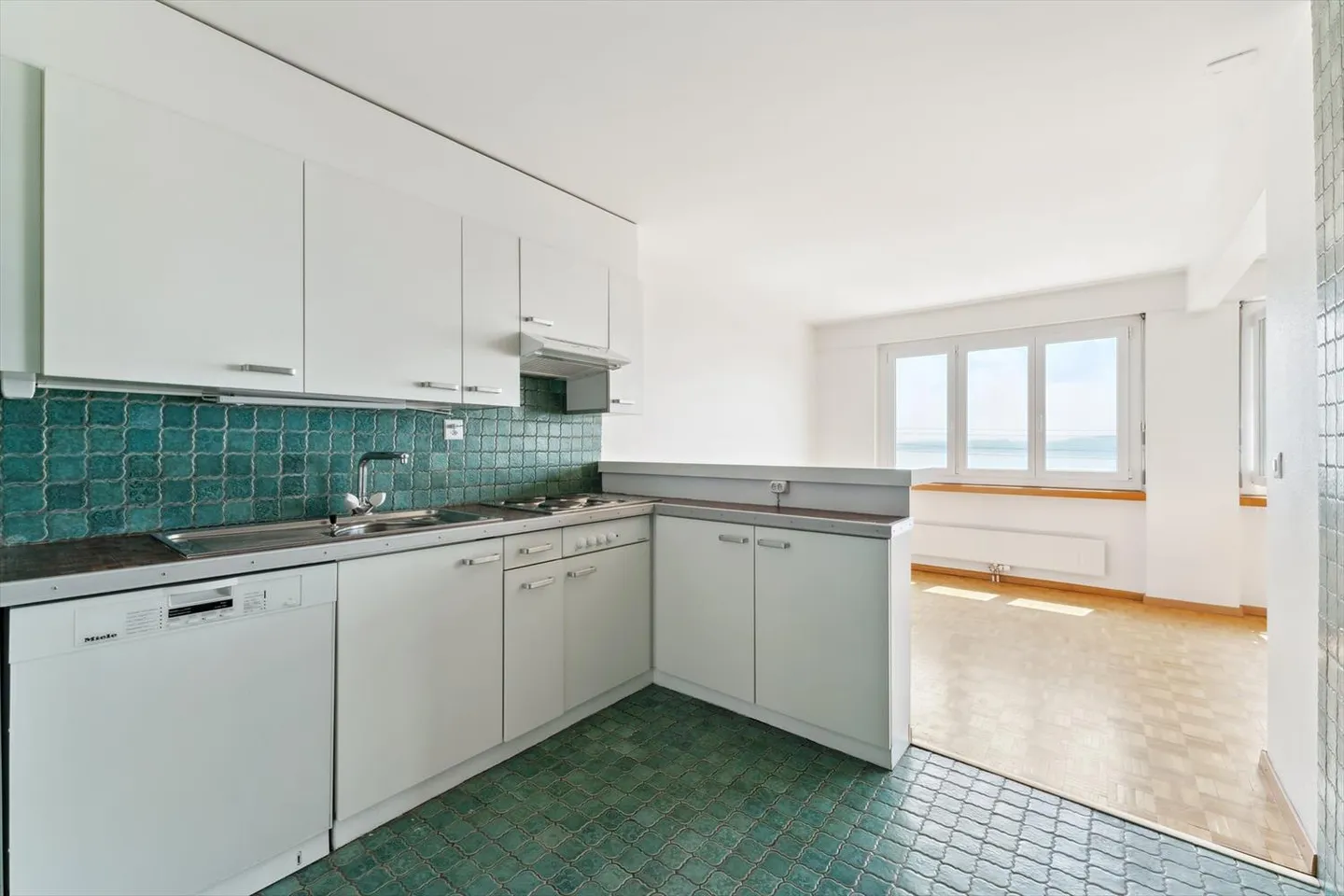 Magnifique vue sur le lac et les alpes avec CAUTION GRATUITE - Photo 7 sur 13