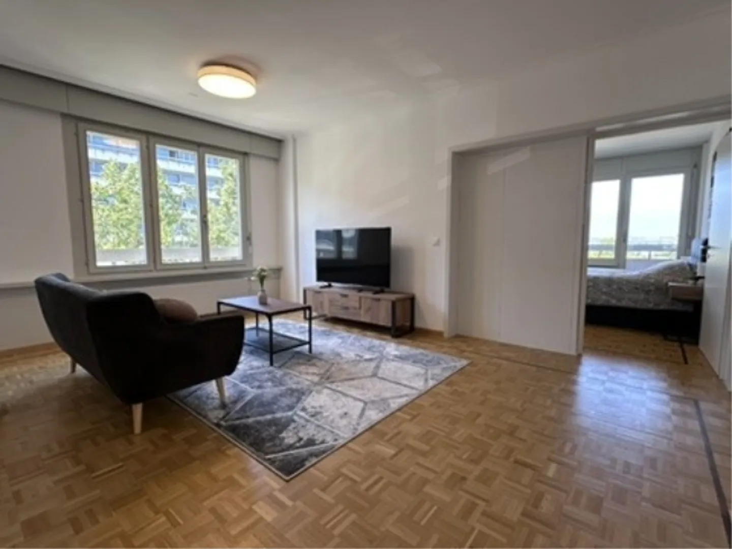 Coliving Conviviale e Funzionale a Grand-Saconnex - Foto 12 di 13