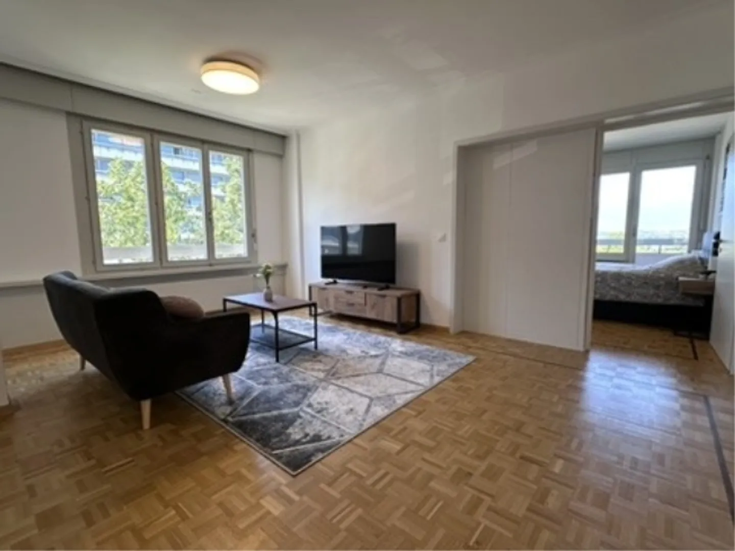 Coliving Conviviale e Funzionale a Grand-Saconnex - Foto 13 di 13
