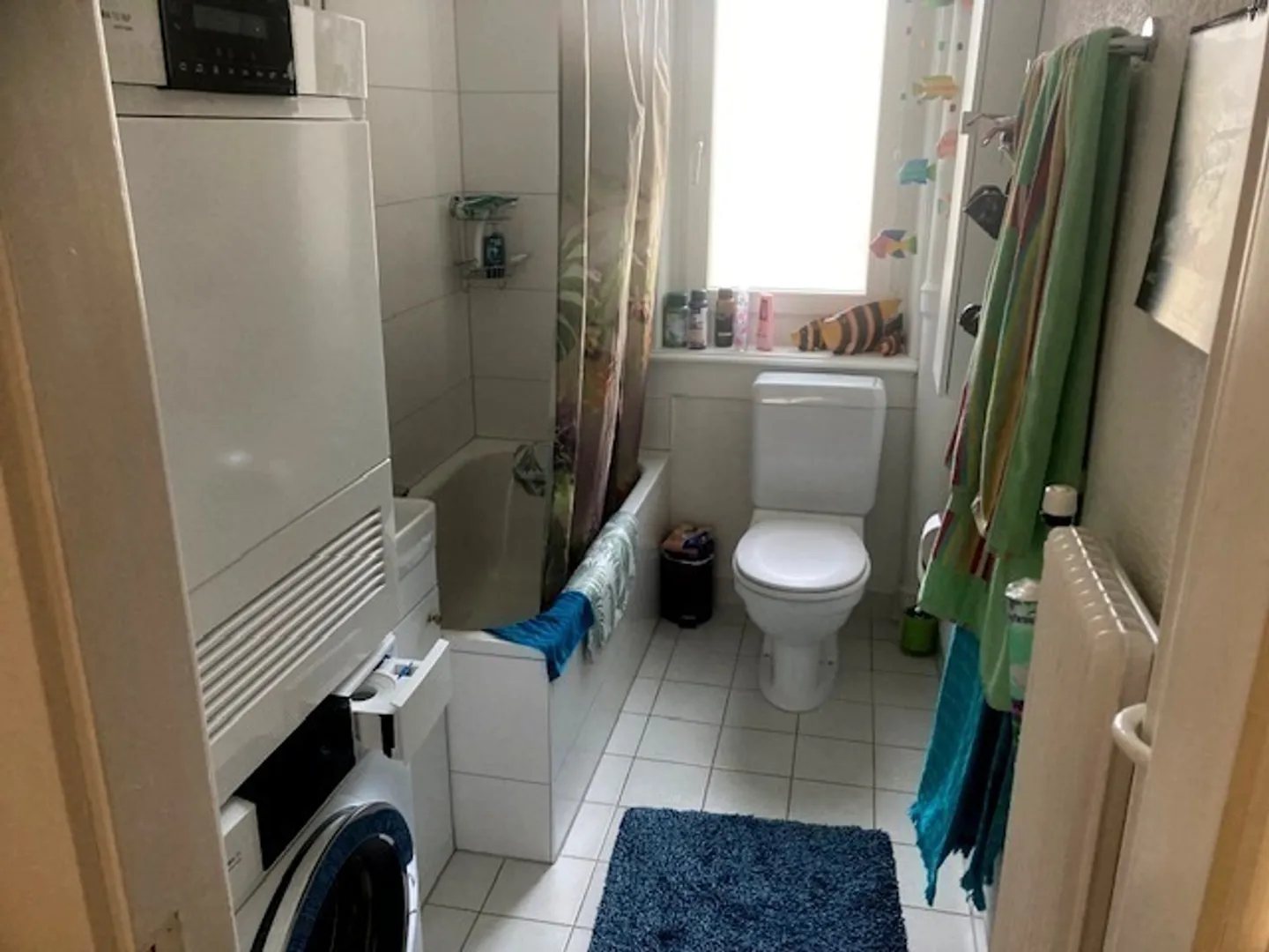 APPARTAMENTO 3½ STANZE A BERN - NEUFELD, ARREDATO, TEMPORANEO - Foto 9 di 9