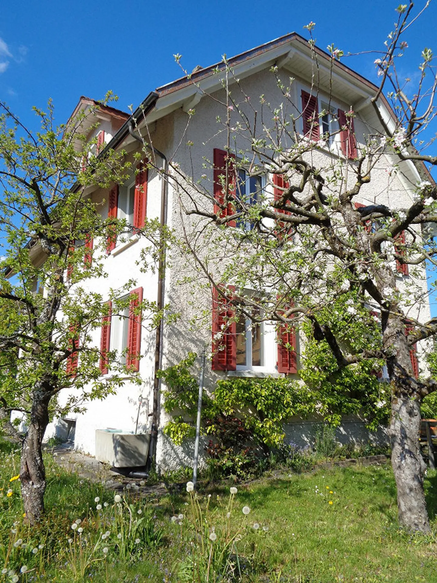 Bella appartamento di 3 stanze con balcone e utilizzo del giardino - Foto 2 di 15