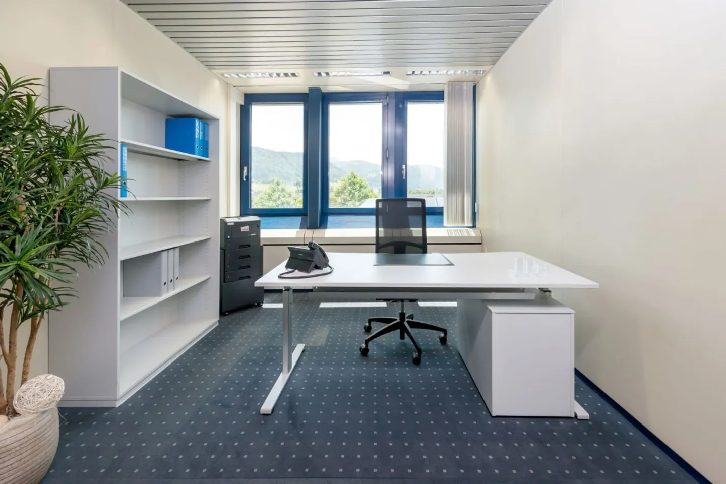 Bureau de base - Photo 1 sur 4