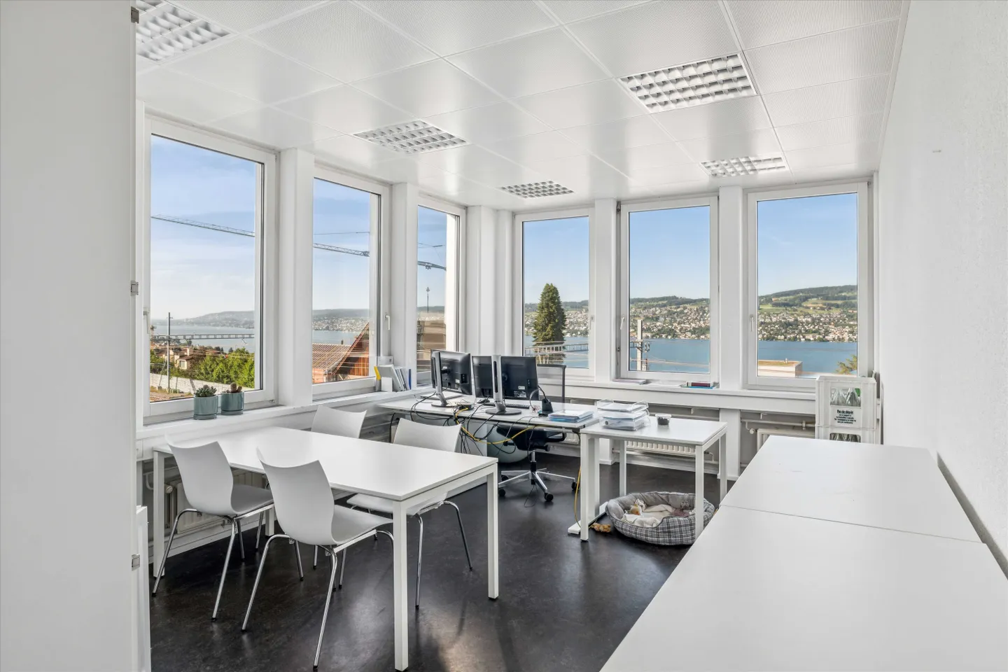Working with Lake View: Attractive Office Space in the Heart of Horgen - Photo 4 of 6