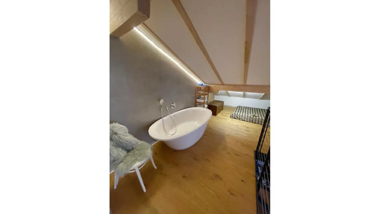 3 ZIMMER-HAUS IN TSCHINGEL OB GUNTEN (BE), MÖBLIERT, TEMPORÄR - Photo 7 sur 10