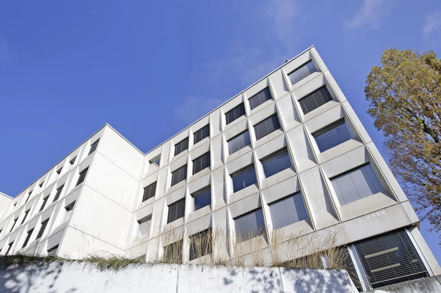Offices with unobstructed view of the lake - Photo 9 of 11