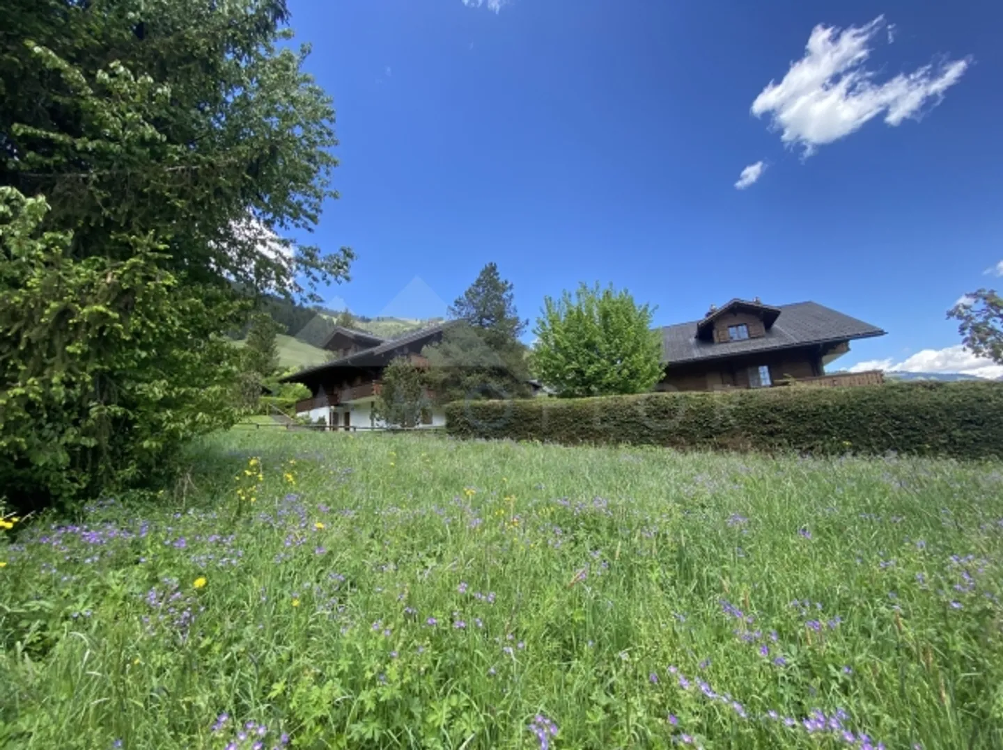 «Parcelle n°1303» - Photo 4 sur 7