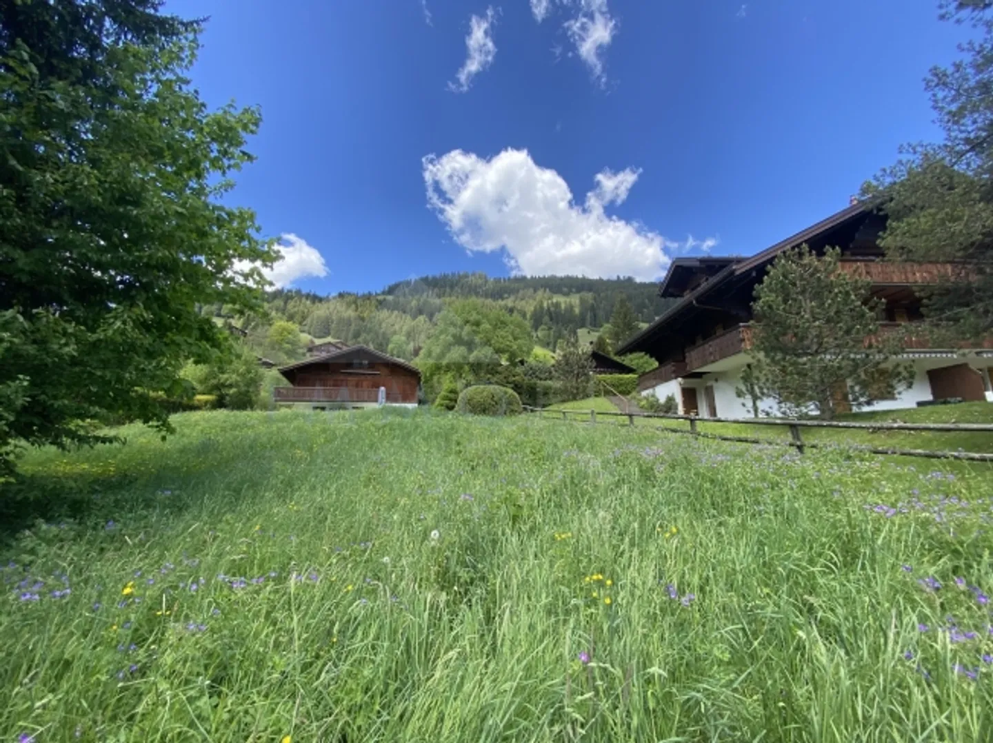 «Parcelle n°1303» - Photo 5 sur 7