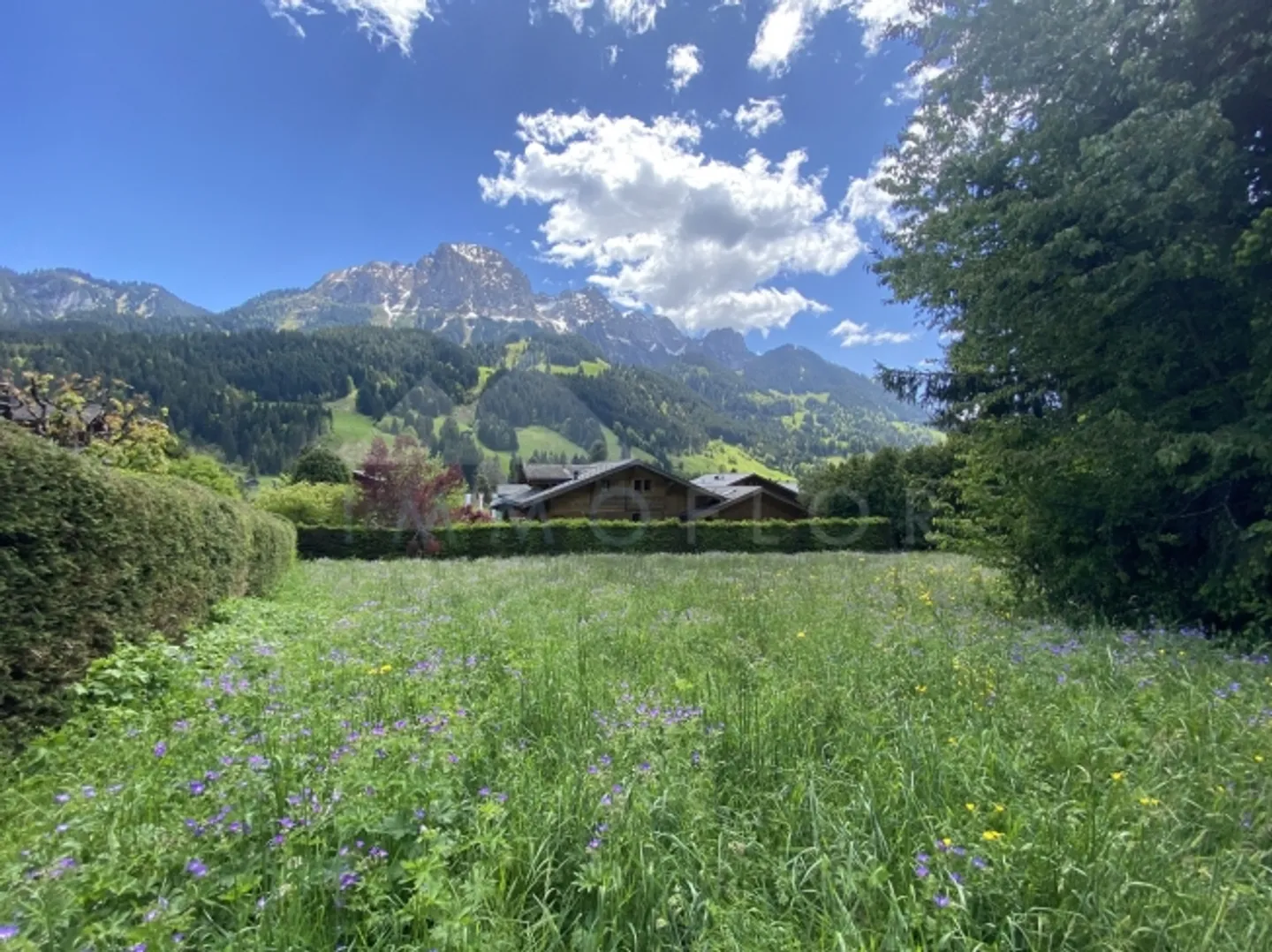 «Parcelle n°1303» - Photo 1 sur 7