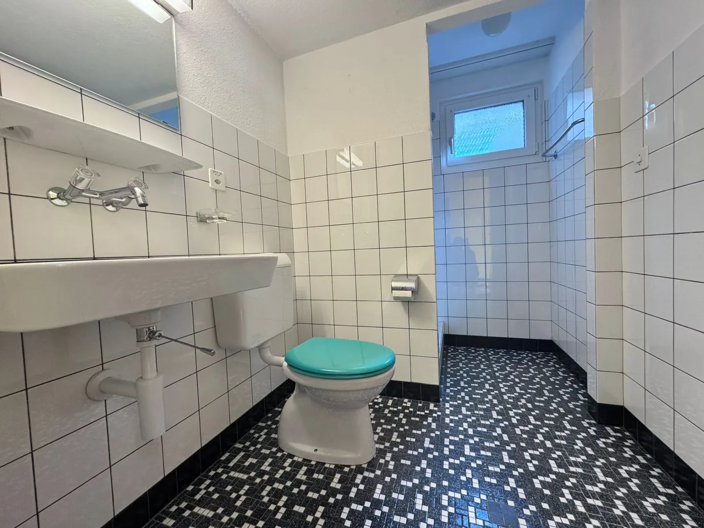 Casa unifamiliare indipendente con 5,5 stanze, estensione, garage e grande giardino - Foto 37 di 38
