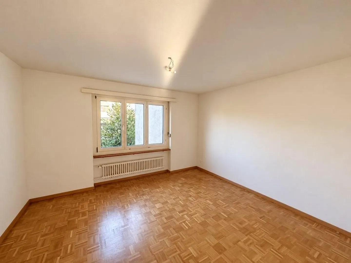 Ciao Dietikon - Foto 5 di 7