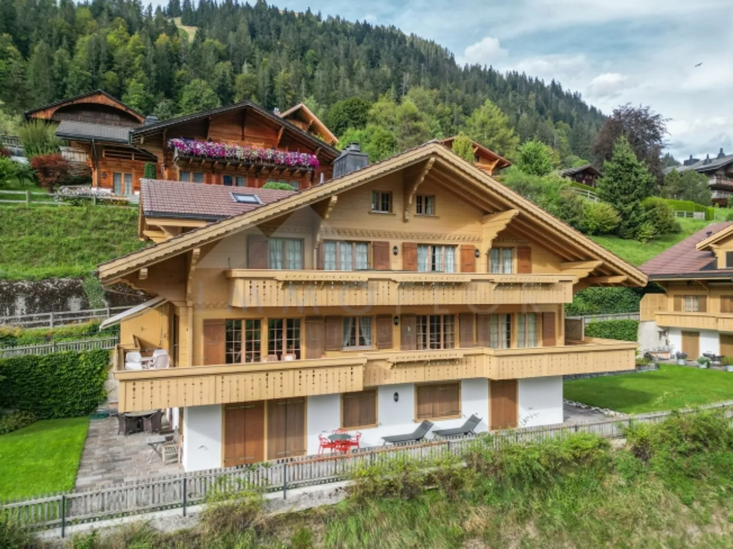 «Solidage» - Photo 2 sur 20