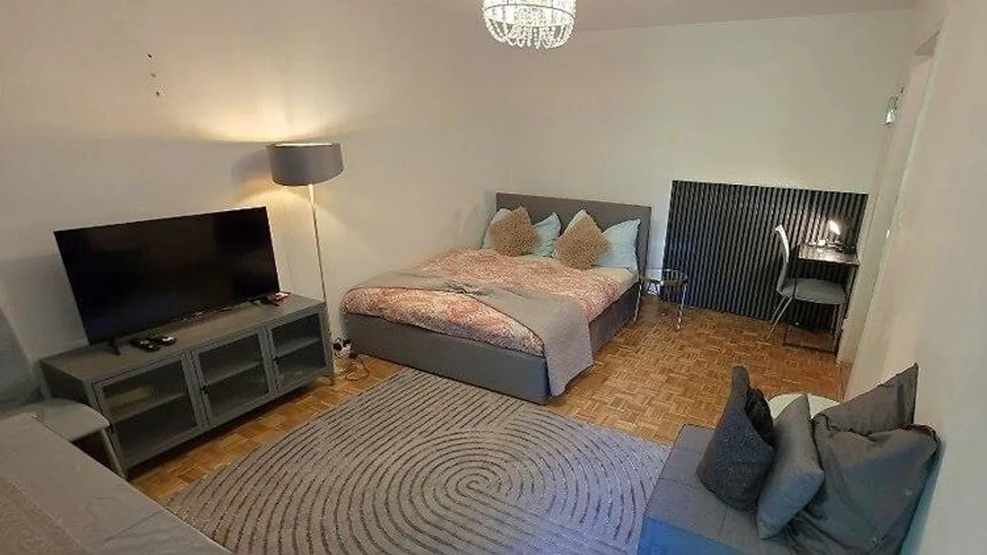 APPARTEMENT 1 PIÈCE À BERNE, MEUBLÉ, TEMPORAIRE - Photo 1 sur 6