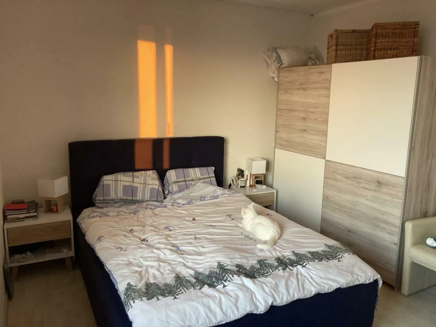 Appartamento 4 locali - Foto 5 di 8