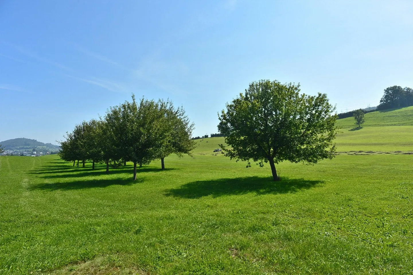 Vivere in fattoria, vicino al lago di Gübsensee - Foto 10 di 10