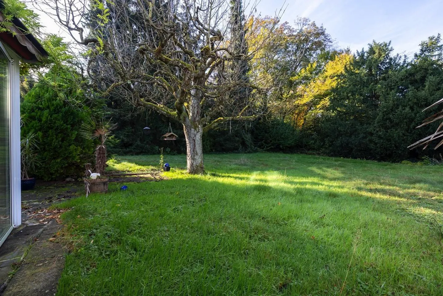 Large plot for only 1 large, luxurious single-family home - Photo 2 of 5