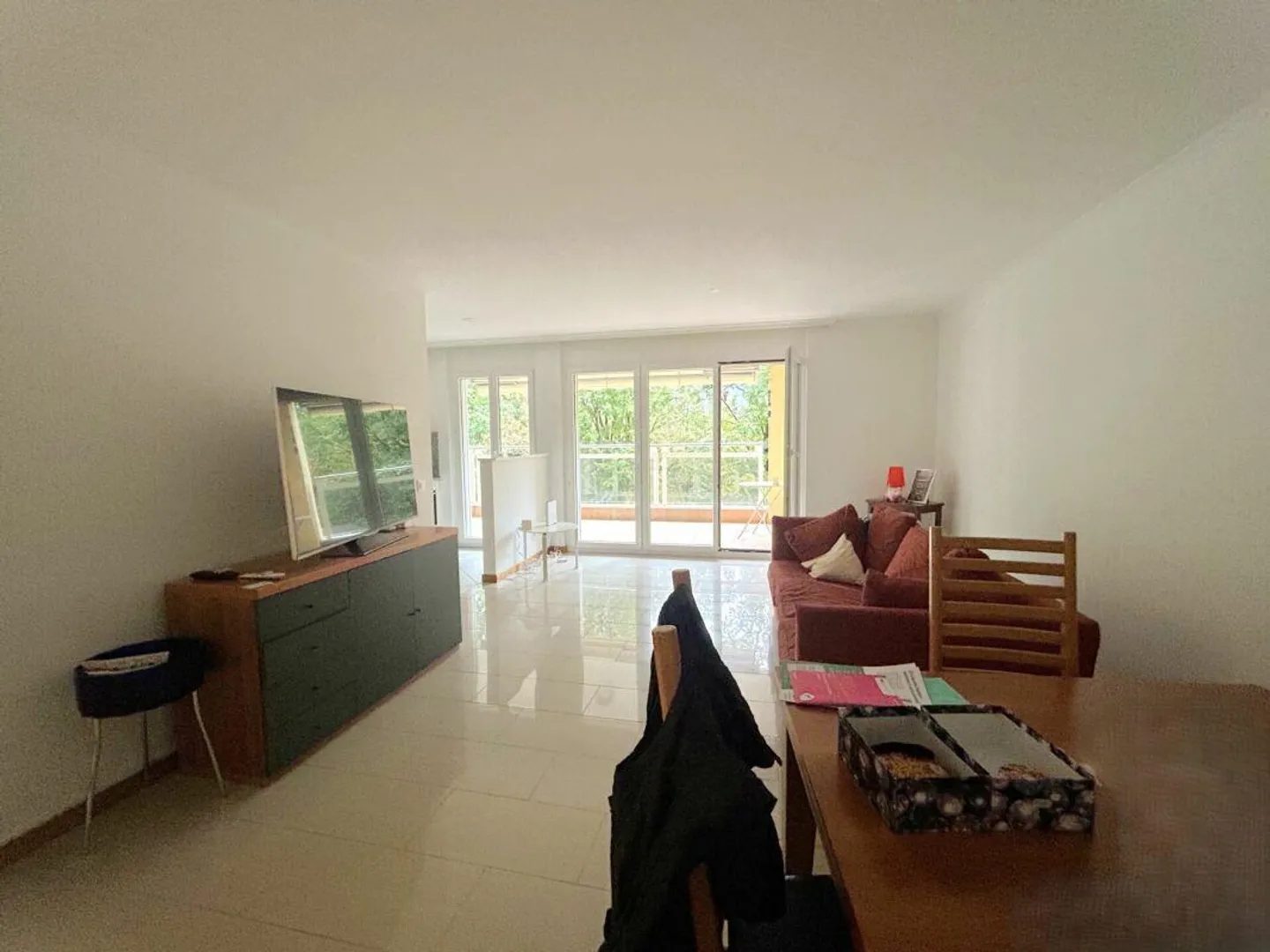Practical 3.5 Room Apartment Just Steps from the Lake - Photo 4 of 12