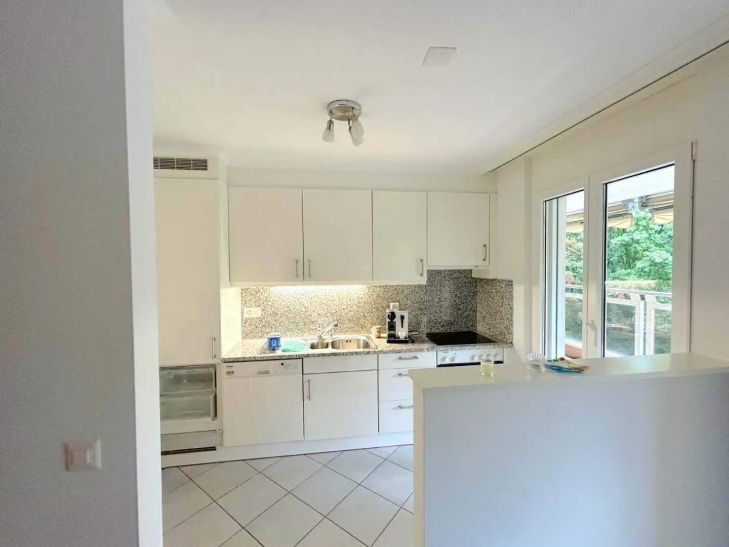 Practical 3.5 Room Apartment Just Steps from the Lake - Photo 5 of 12