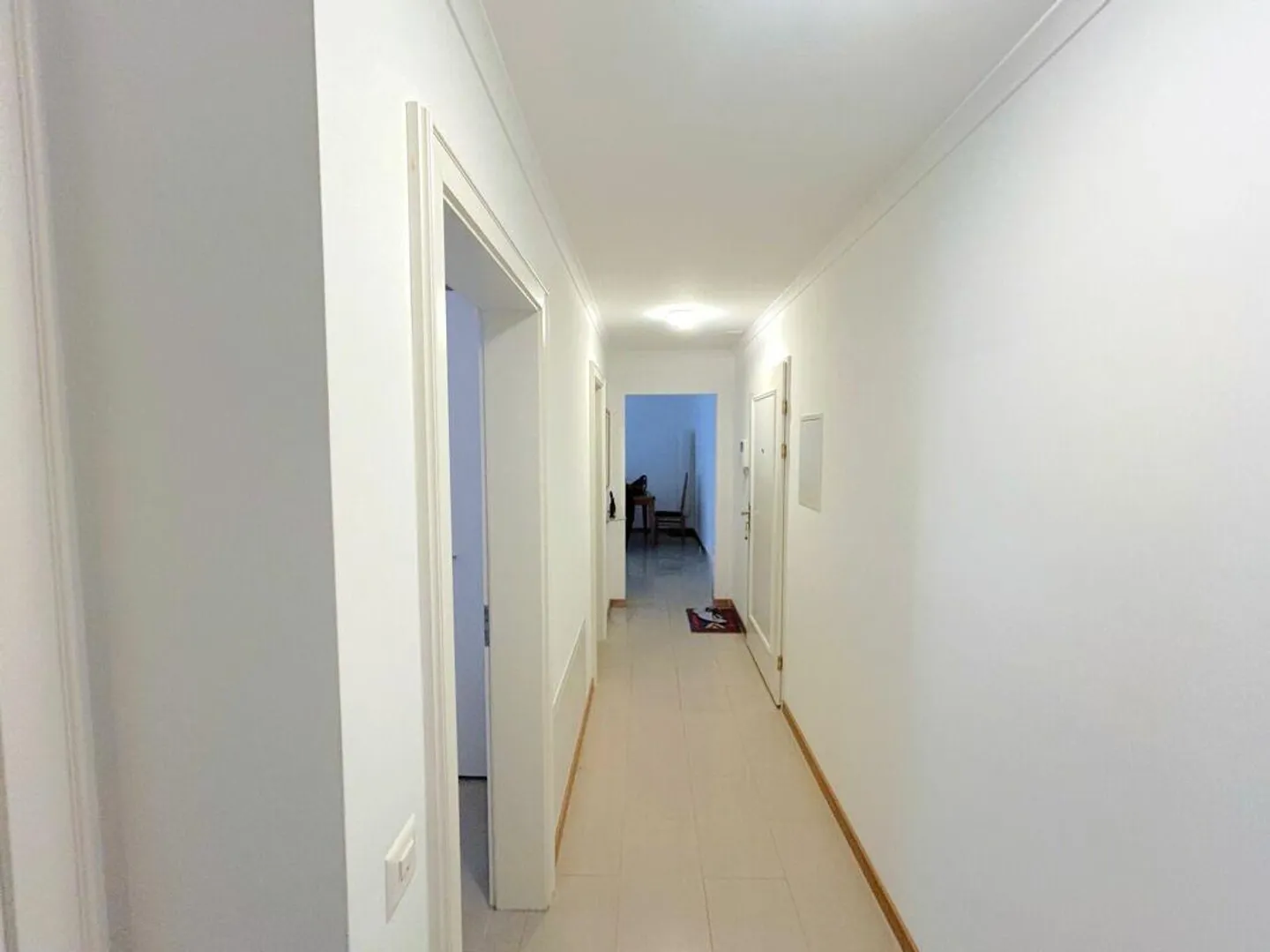 Practical 3.5 Room Apartment Just Steps from the Lake - Photo 7 of 12