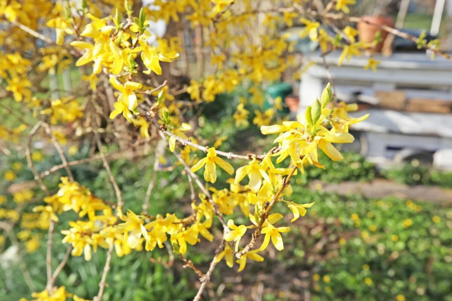 5-Zimmer-Eckhaus mit Anbau, Garten & Gemeinschaftspool - Photo 3 of 17