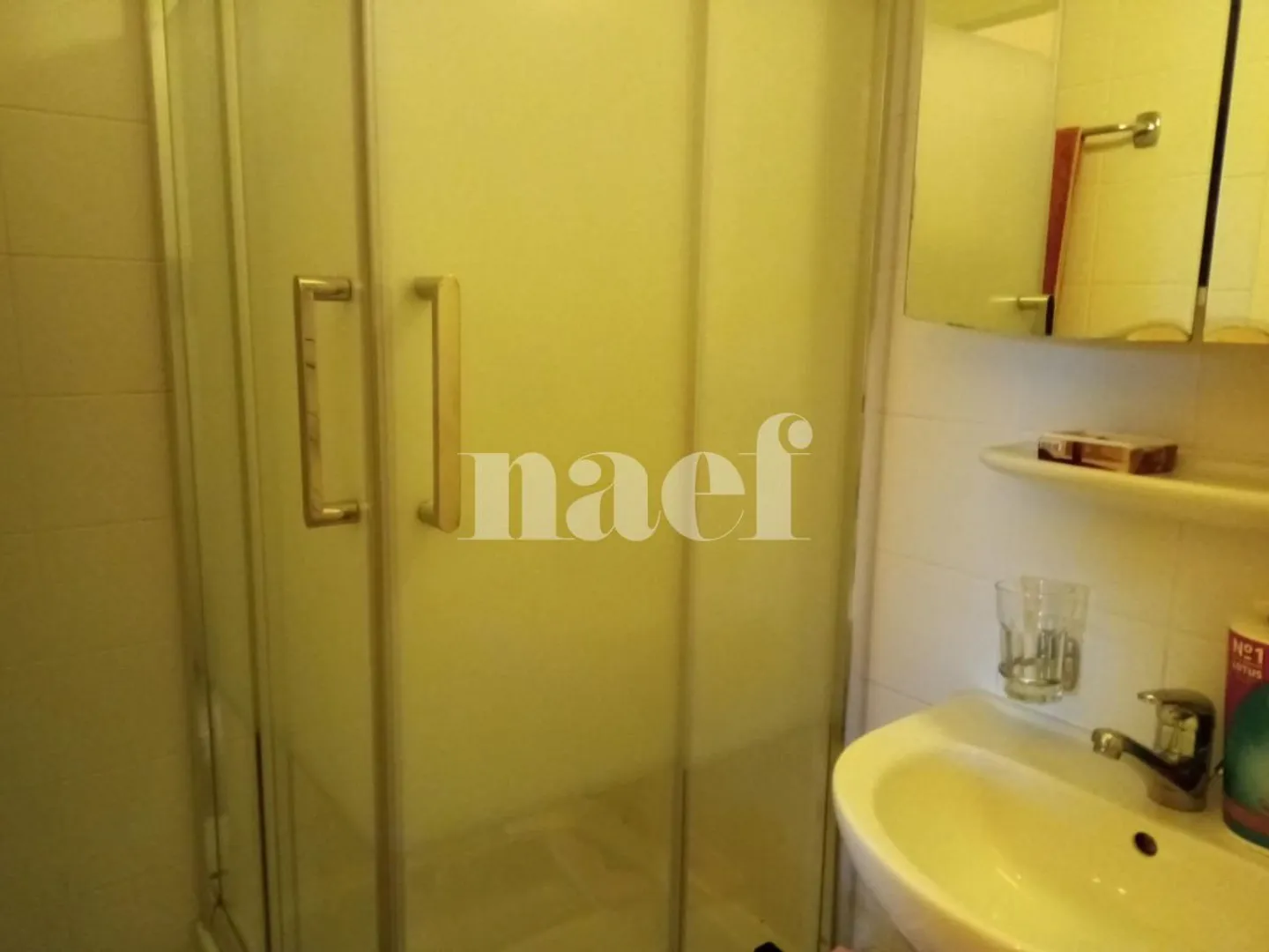 Appartement spacieux 6 pièces - Photo 7 sur 9
