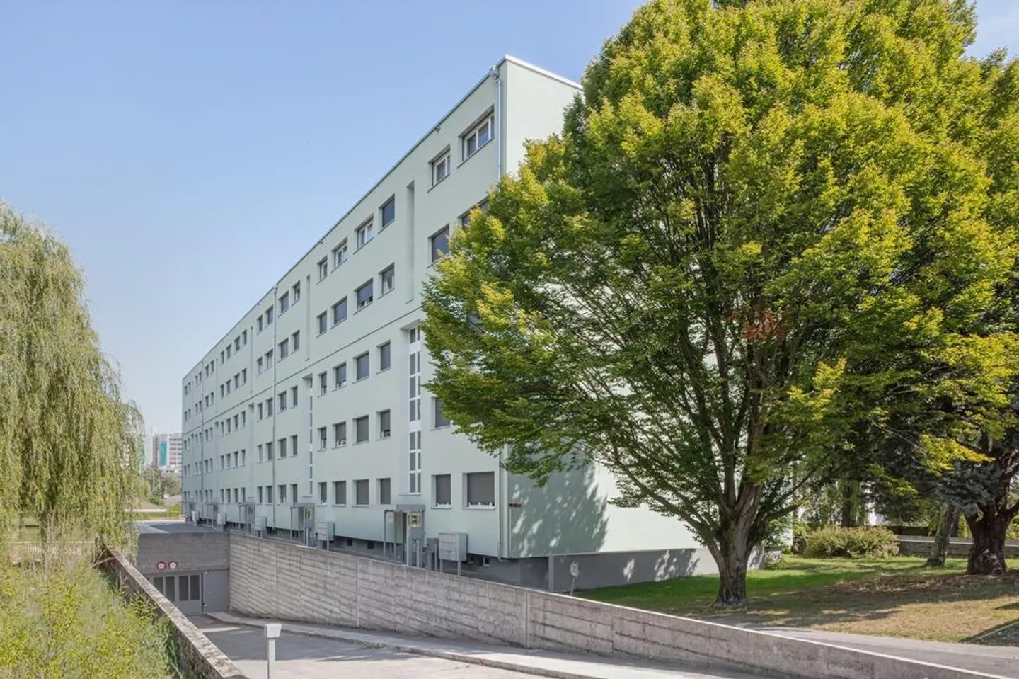 DA COGLIERE - Foto 1 di 1