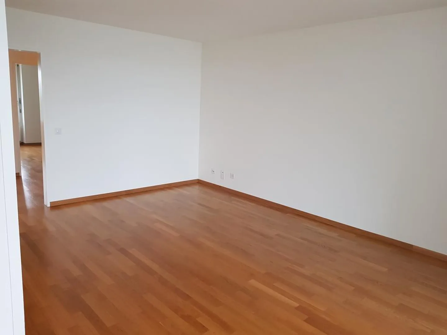 3.5 Room Apartment in Sisseln on the 4th Floor - Photo 8 of 9