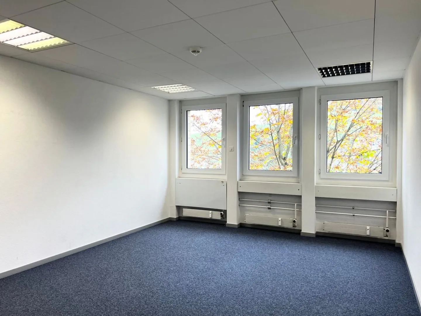 Versatile Commercial Space - Photo 6 of 9