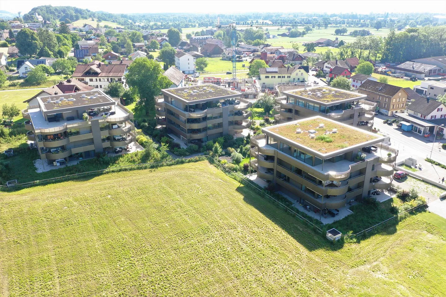 Du côté ensoleillé de la vie - Photo 1 sur 10