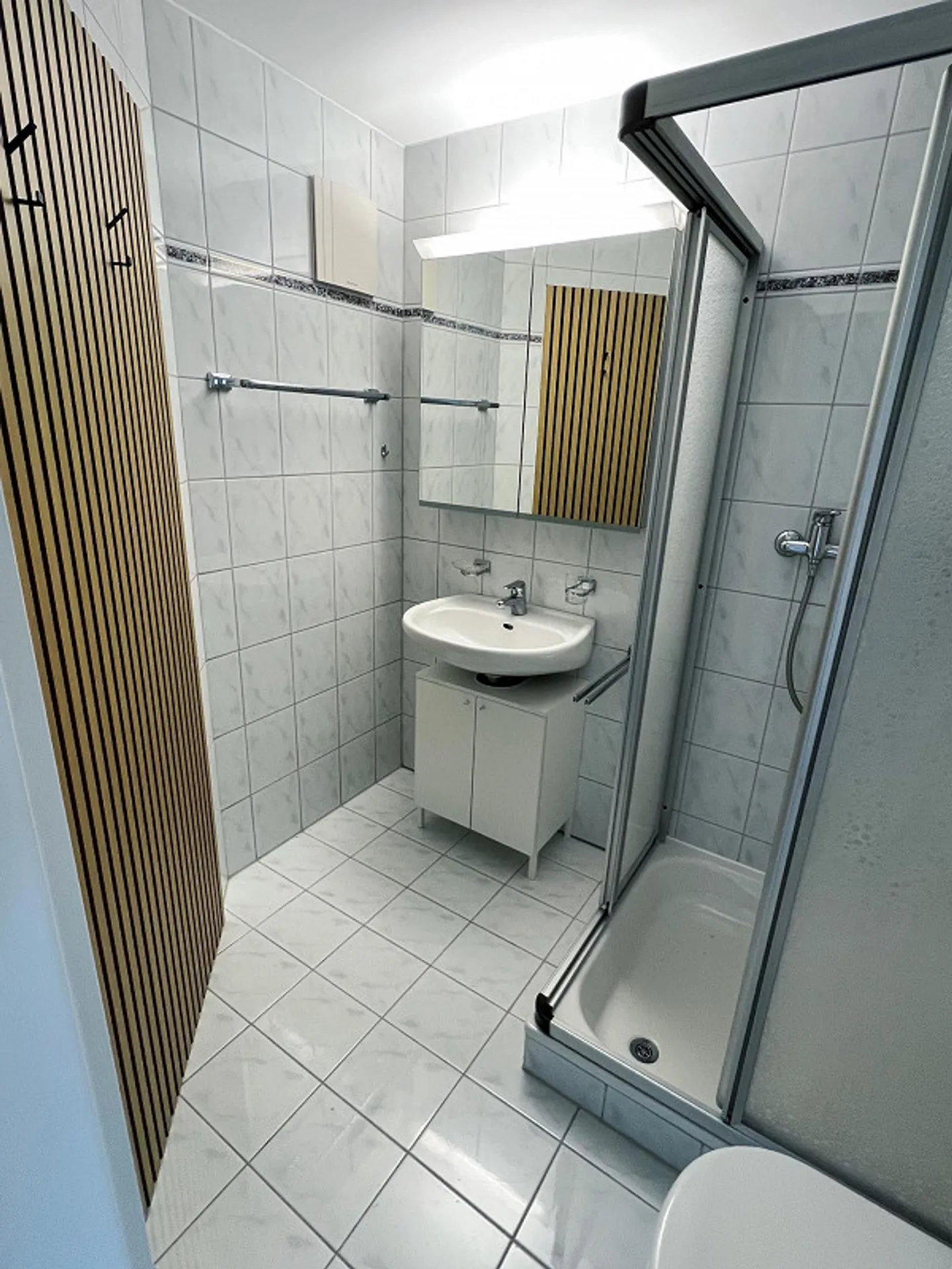2 ½ Room Apartment with Balcony in Balgach for Rent - Photo 5 of 6