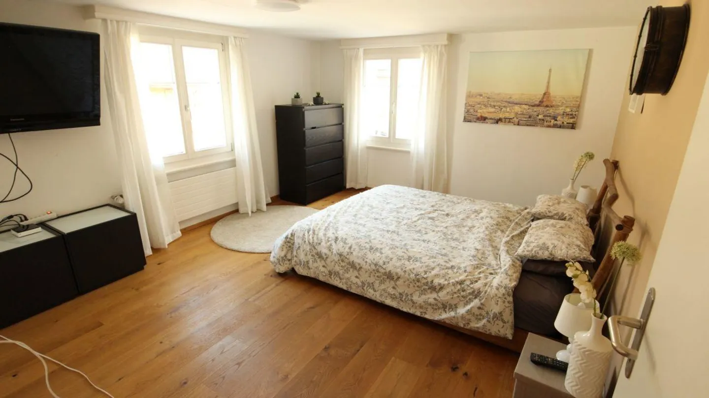 Charming Apartment by the Lake - Photo 3 of 9