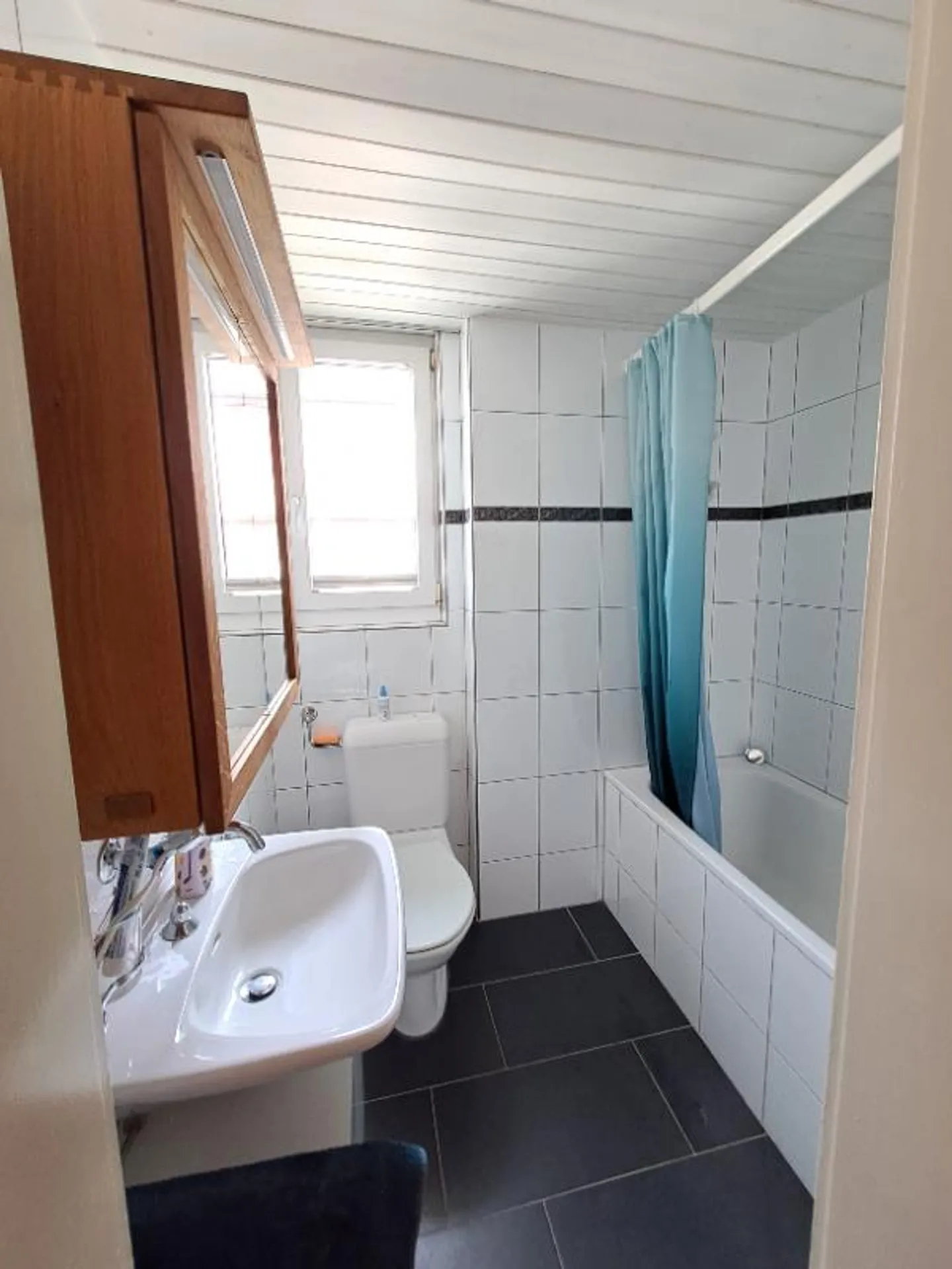 Appartement Charmant avec Vue sur le Lac - Photo 10 sur 10