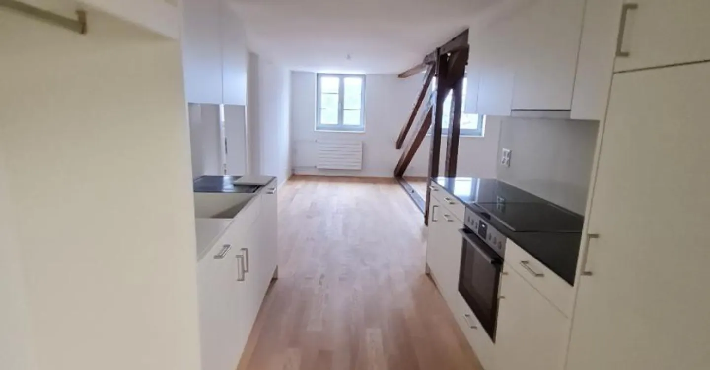 Unico appartamento duplex di 2,5 stanze con terrazza sul tetto - Foto 2 di 9