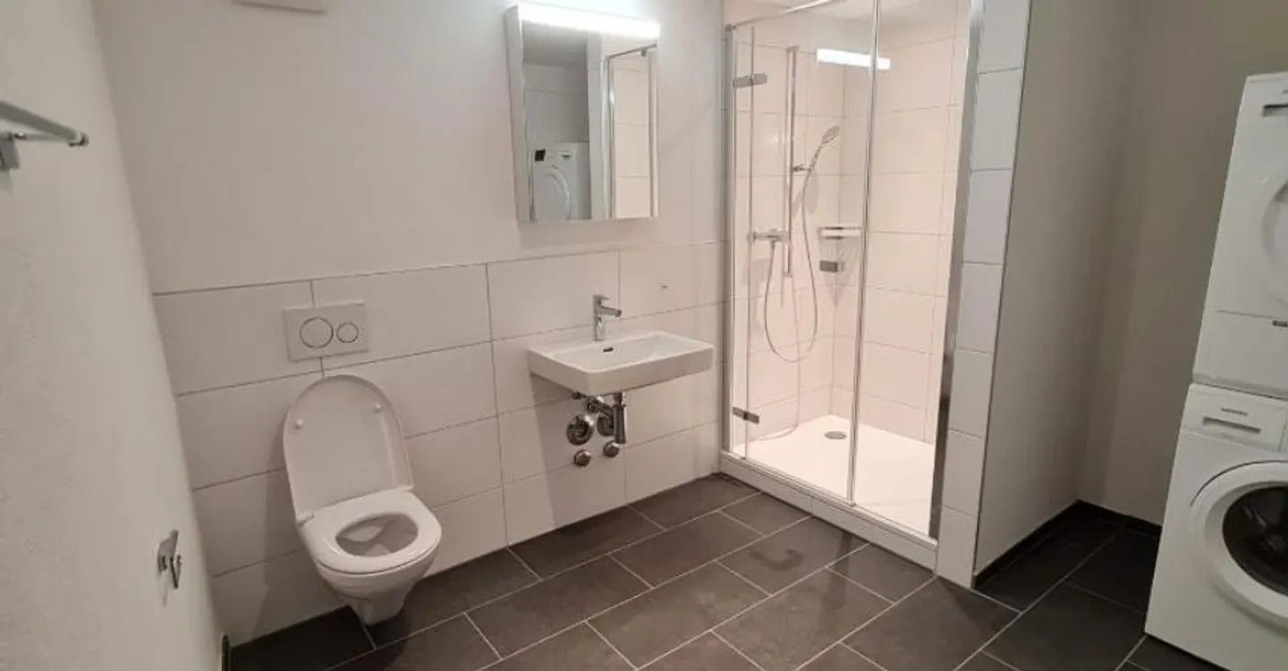 Unico appartamento duplex di 2,5 stanze con terrazza sul tetto - Foto 4 di 9