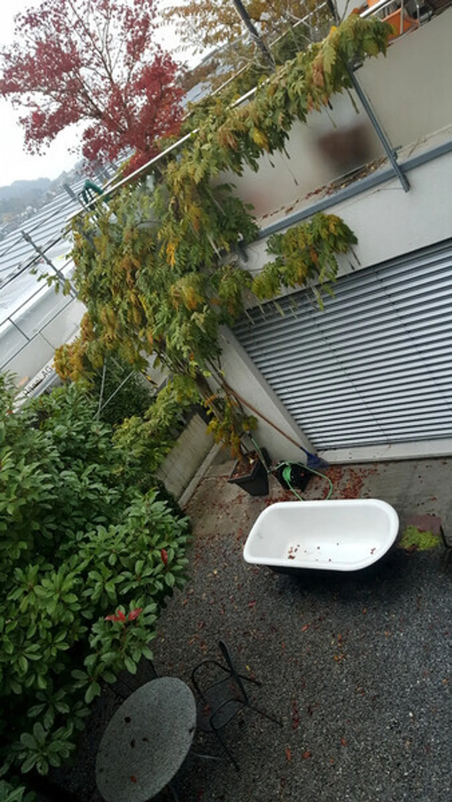 Appartamento in affitto - Foto 10 di 12