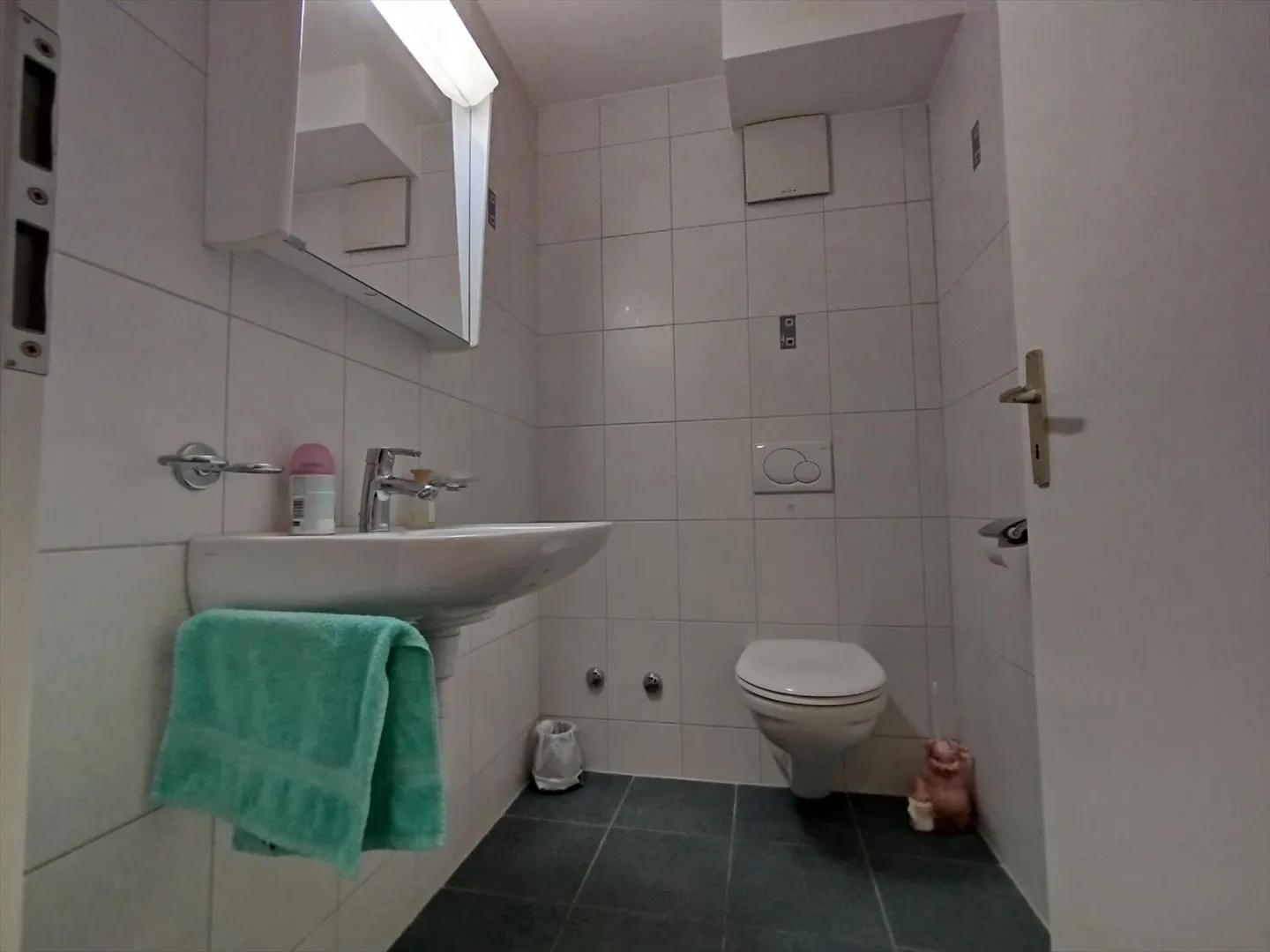 3.5 Room Apartment - Photo 7 of 7