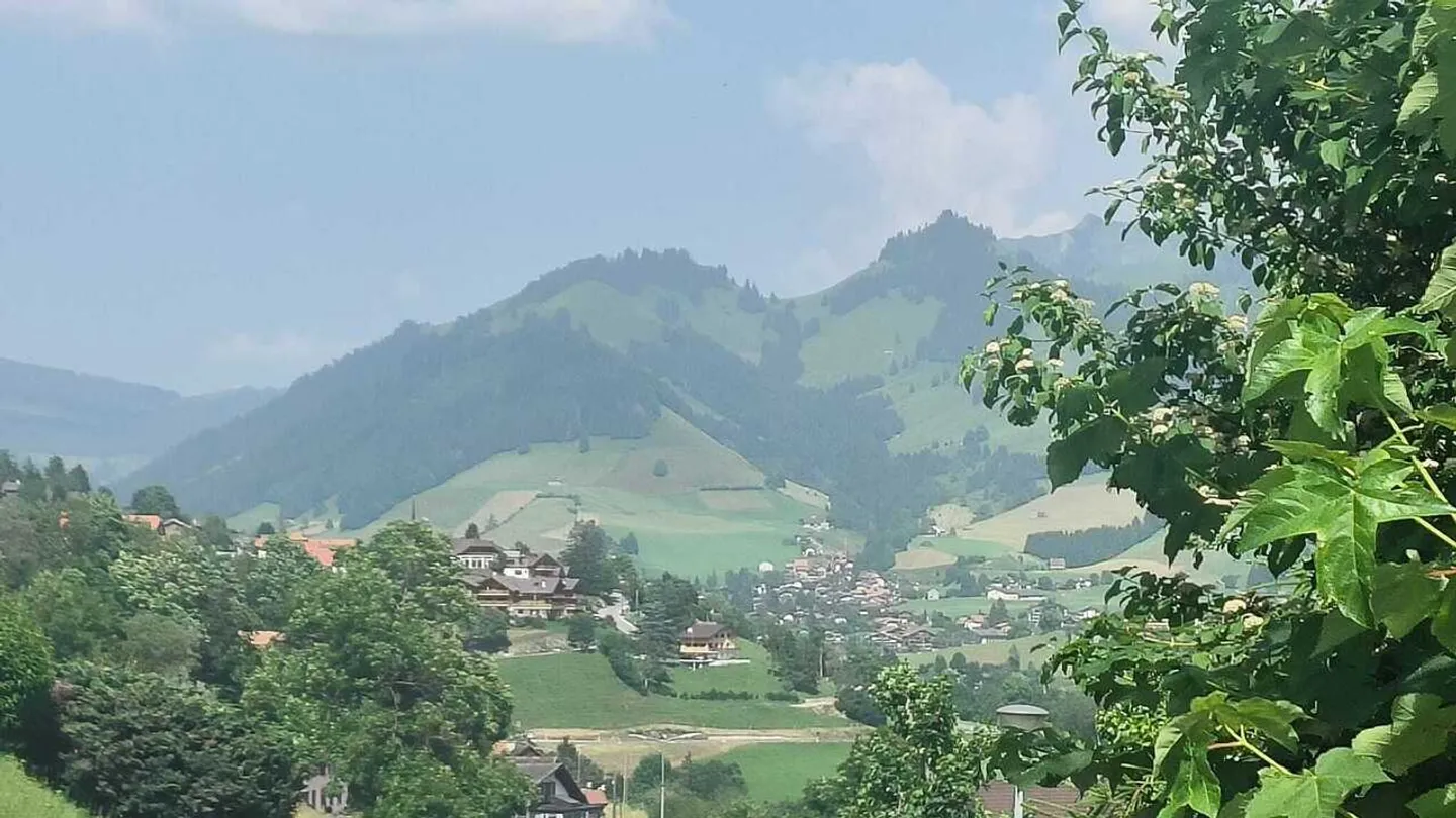 Terreno edificabile in affitto - Foto 2 di 9