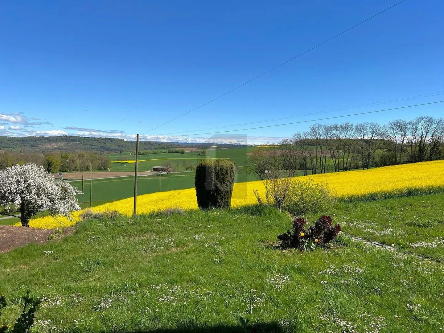 EIN ECKE DES PARADIES IM HERZEN DER NATUR! - Foto 2 von 6