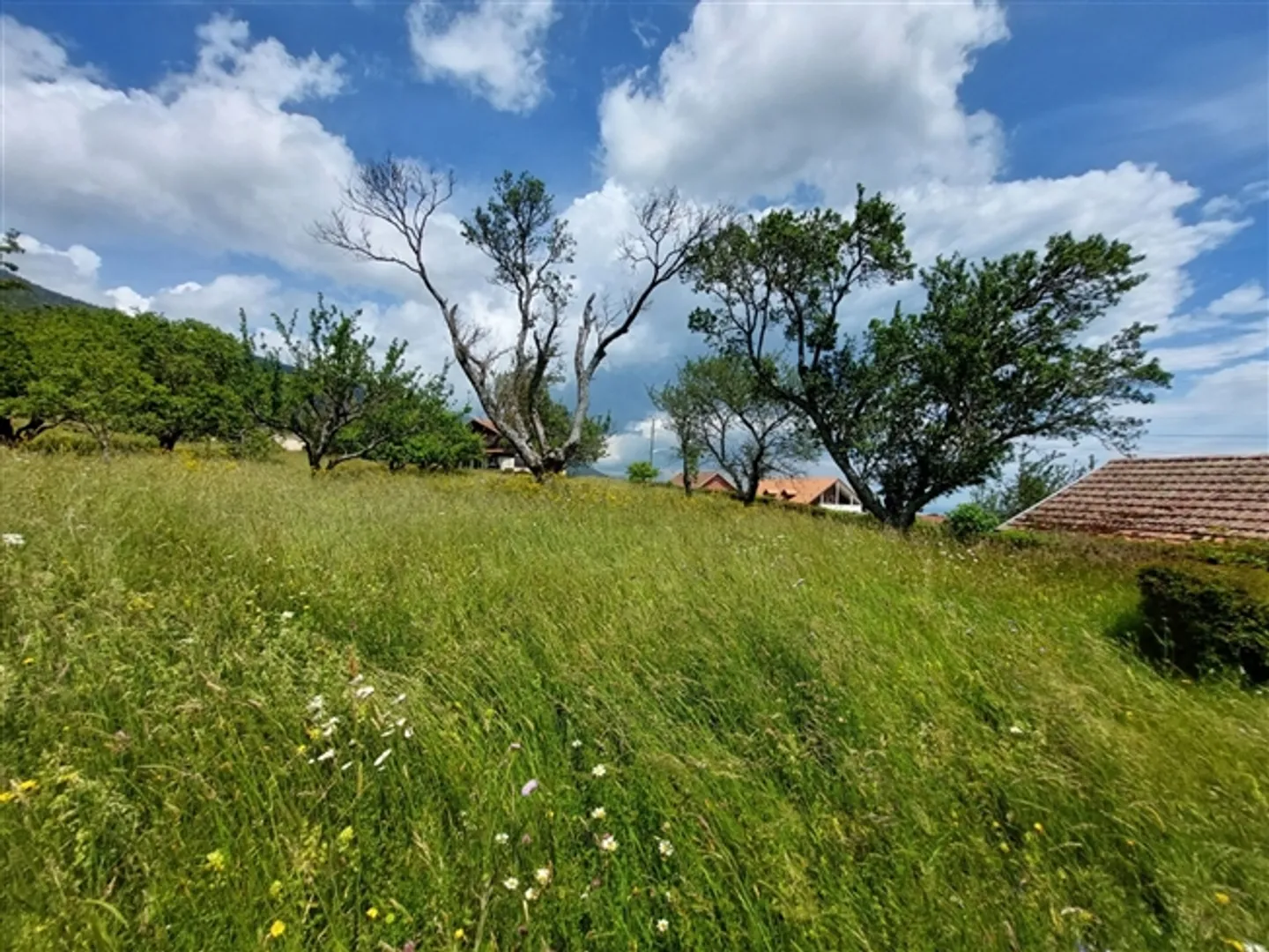 Affascinante fattoria con vista sul lago e sulle Alpi, su un terreno di 2.867 m², composto da due appartamenti e un fienile - Foto 6 di 13