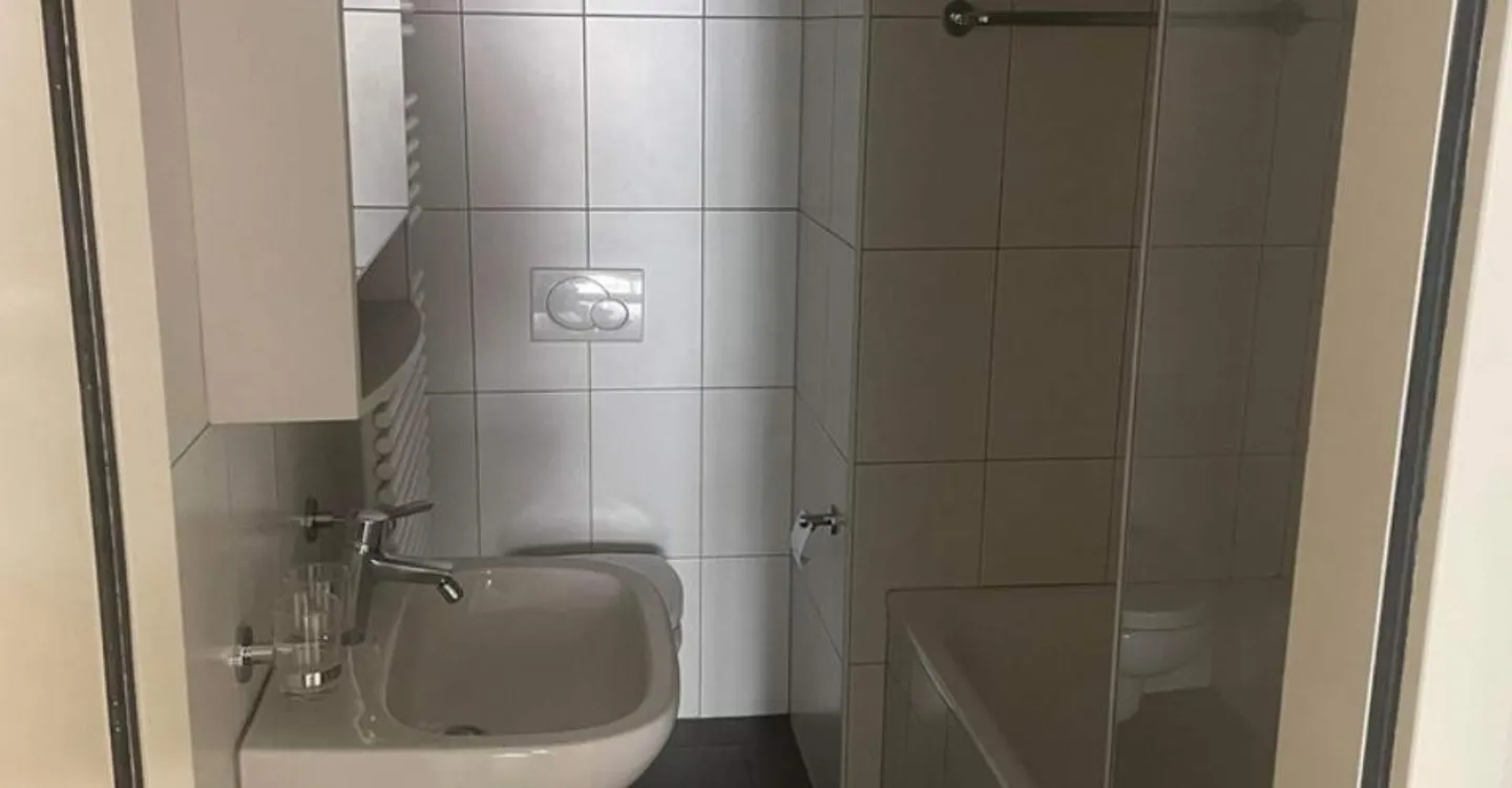 Appartamento 3.5 stanze - Foto 6 di 6