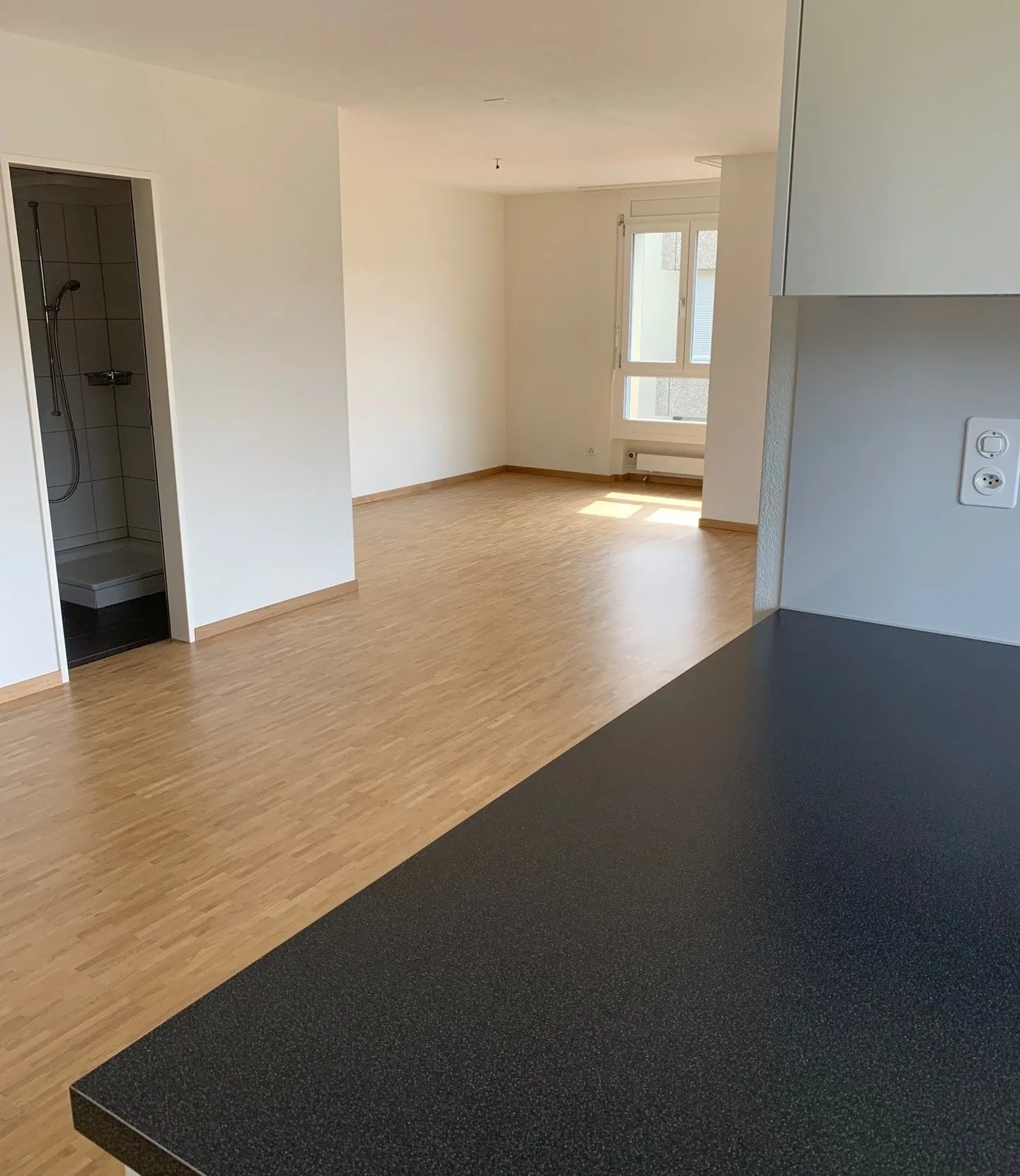 Appartamento di 4,5 locali nel quartiere Oltner Säliquartier - Foto 5 di 5