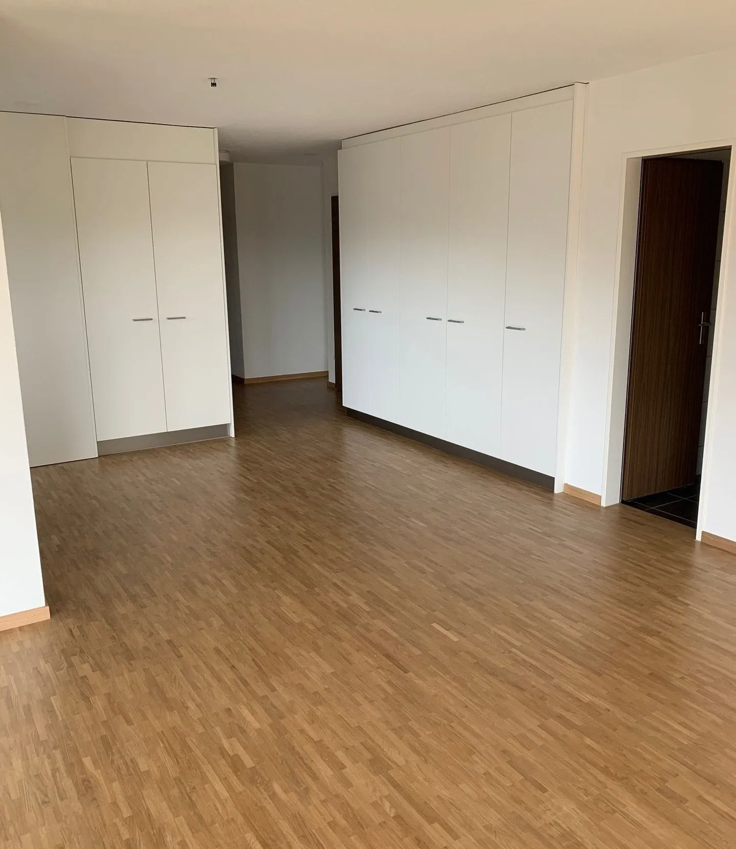 Appartamento di 4,5 locali nel quartiere Oltner Säliquartier - Foto 2 di 5