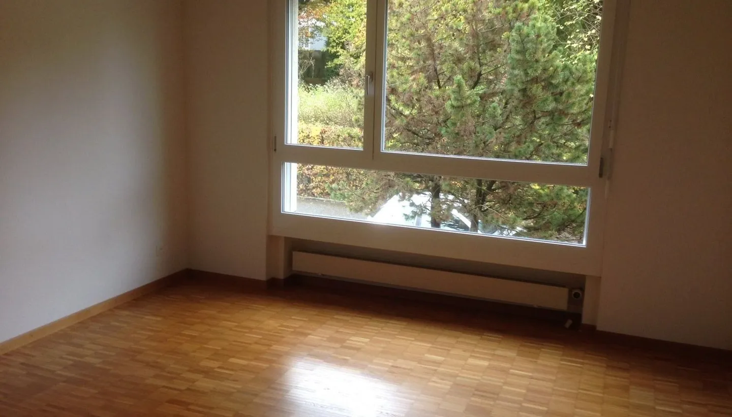 Appartamento di 4,5 locali nel quartiere Oltner Säliquartier - Foto 4 di 5