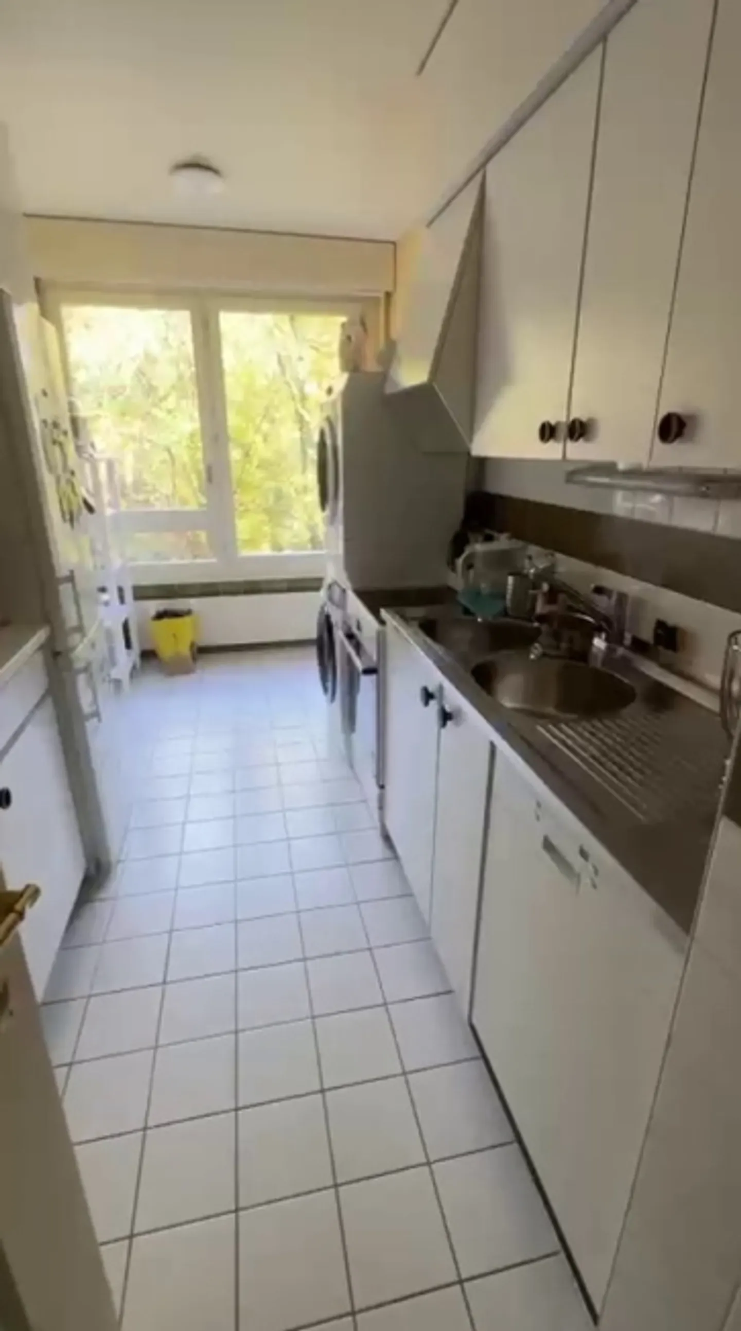 Bel appartamento di 5 stanze in una zona tranquilla con balconi a Malagnou - Foto 4 di 12