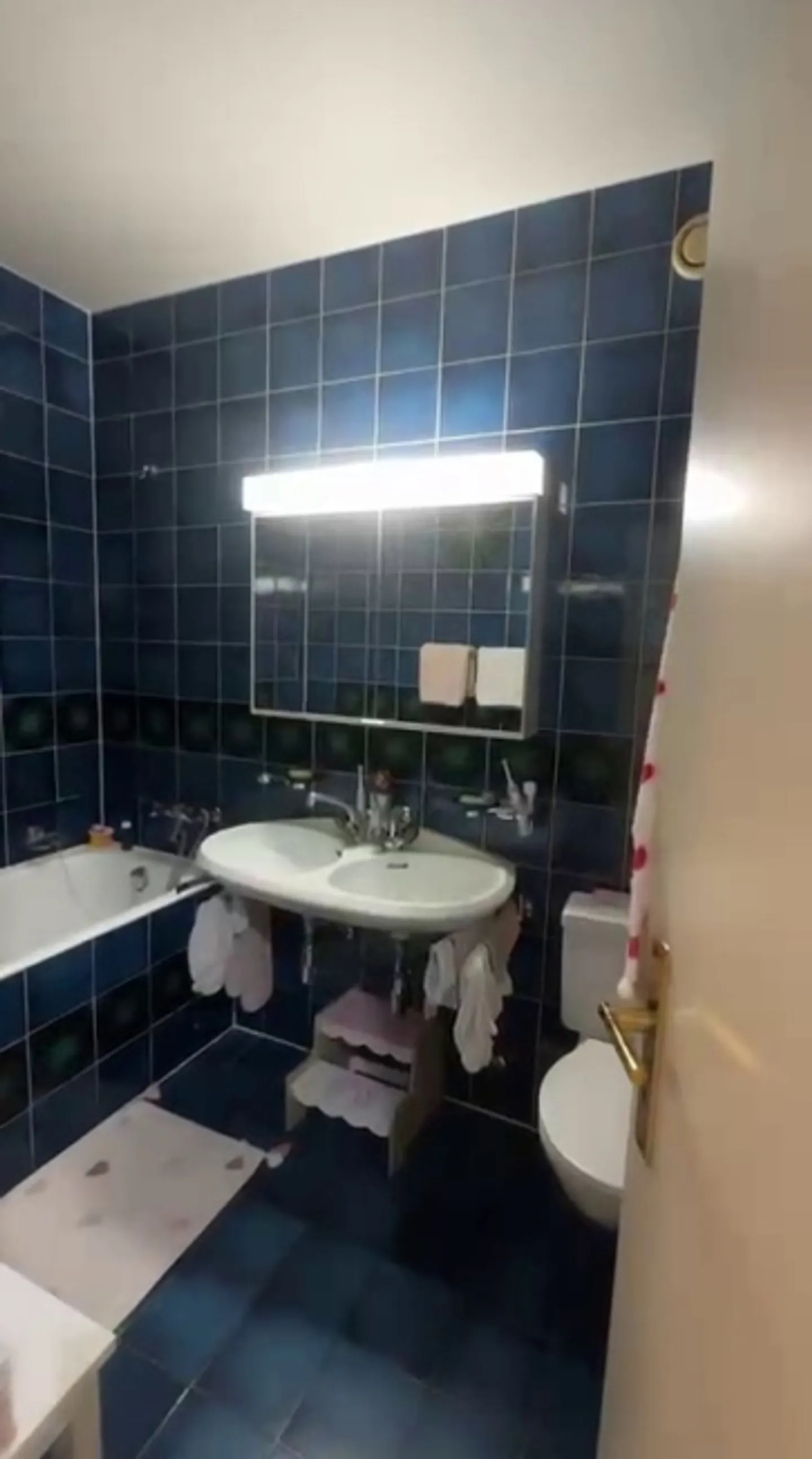 Bel appartamento di 5 stanze in una zona tranquilla con balconi a Malagnou - Foto 9 di 12