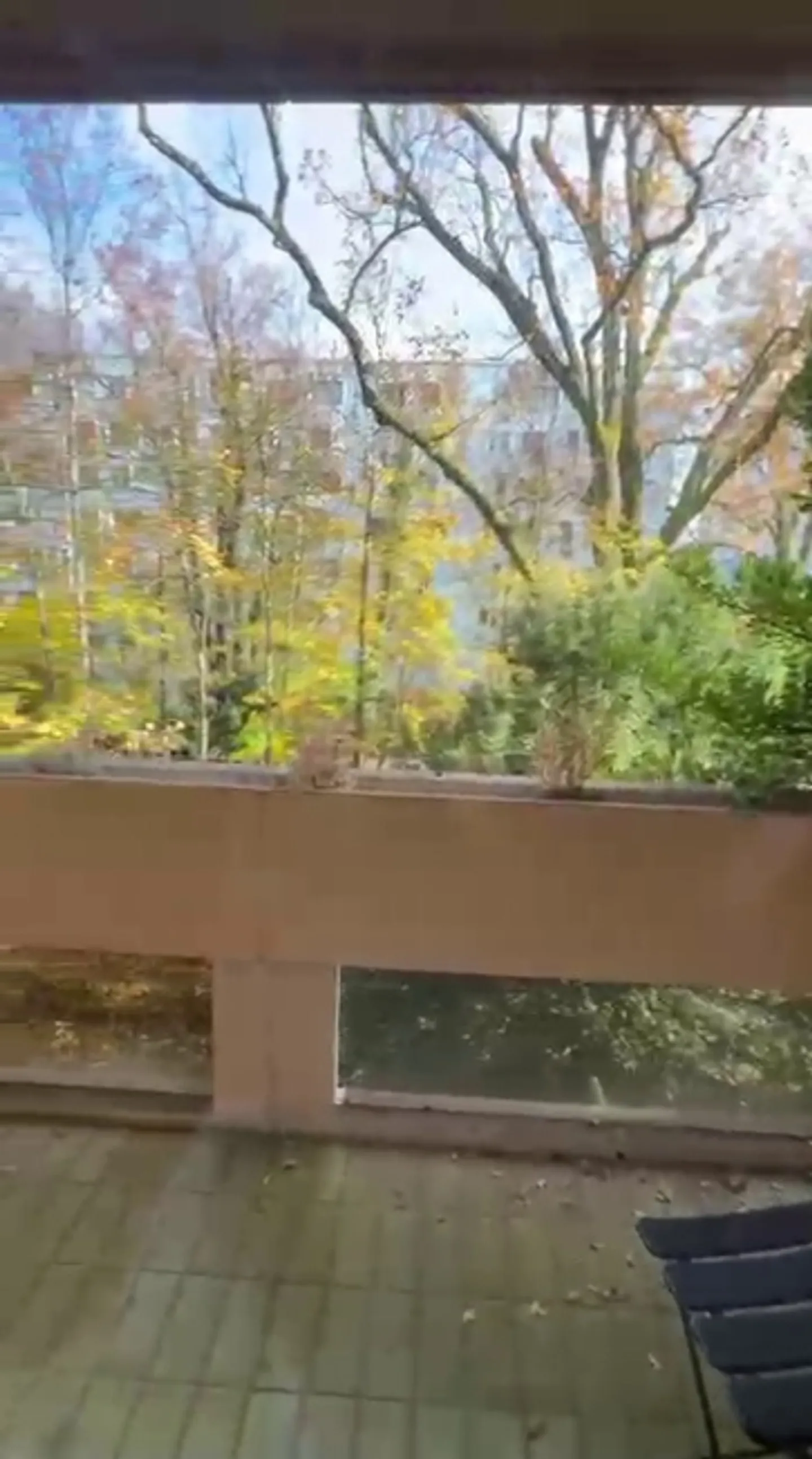 Bel appartamento di 5 stanze in una zona tranquilla con balconi a Malagnou - Foto 12 di 12