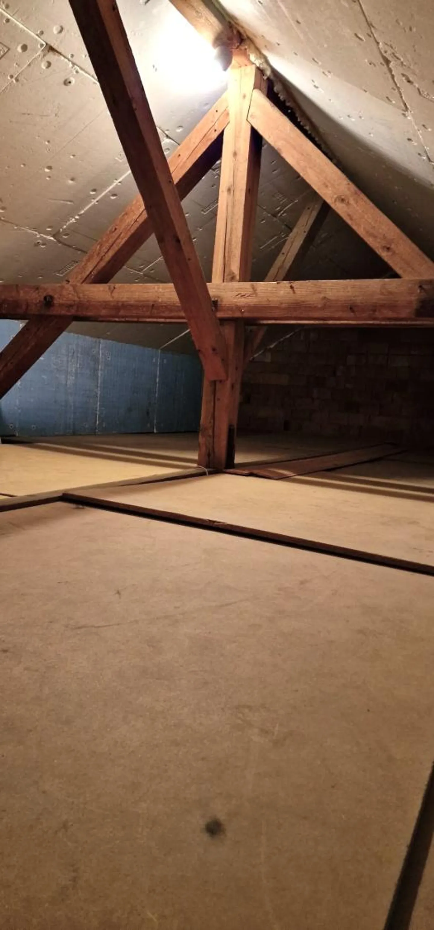 Straordinario - Proprietà lussuosa e magnifica con 10,5 stanze - Foto 4 di 30