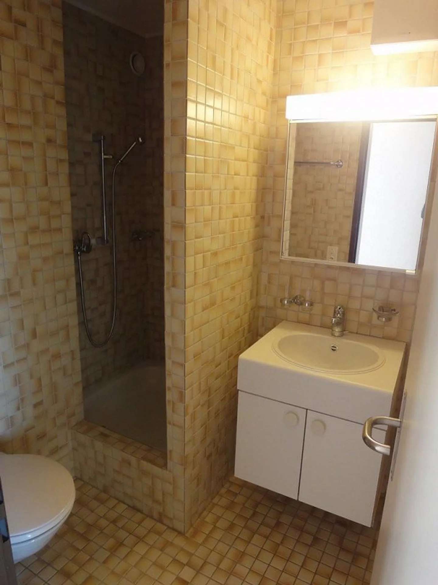 Wohnen im Grünen in Zürich-Witikon befristet bis 31.03.28 - Foto 5 von 6