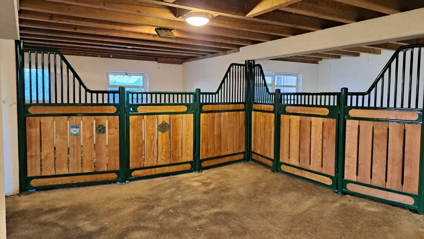 Horse farm with 220m² living space + renovated paddock - Photo 5 of 13