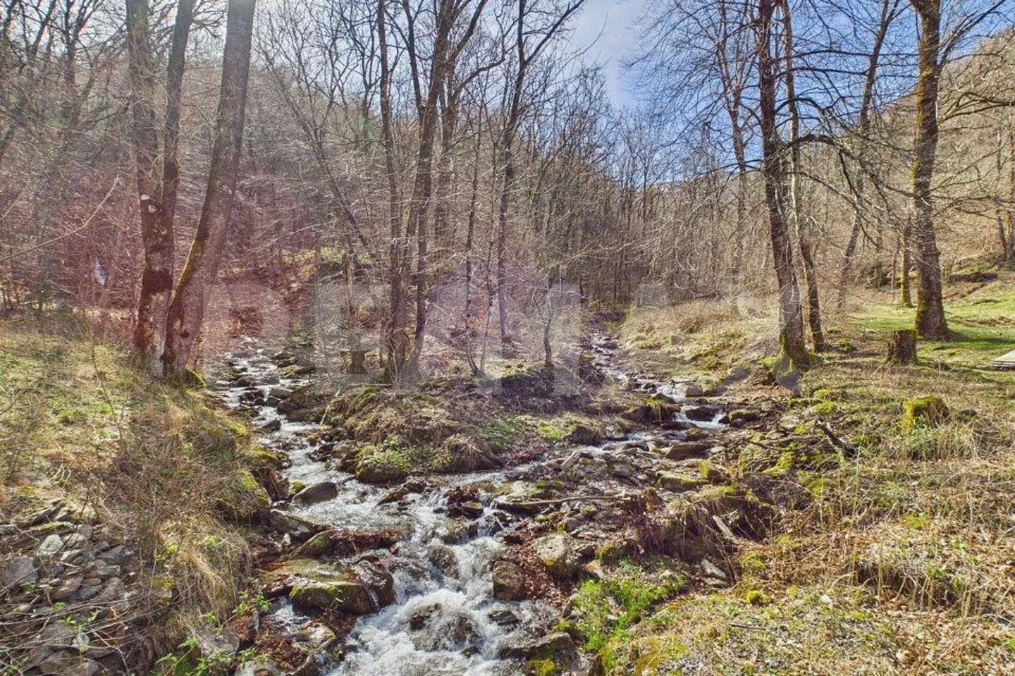 Authentic nature, silence and space to live - Photo 4 of 13